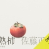 Thumbnail of new posts 088