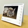 Thumbnail of new posts 056