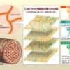 Thumbnail of new posts 070