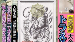 Thumbnail of post image 182