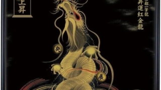 Thumbnail of post image 071