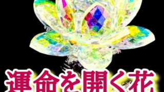 Thumbnail of post image 018