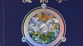 Thumbnail of post image 009