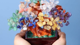 Thumbnail of post image 109