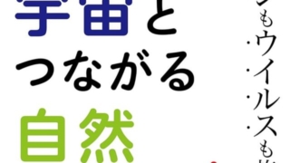 Thumbnail of post image 193