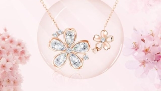 Thumbnail of post image 053