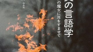 Thumbnail of post image 083