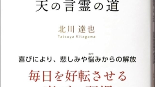 Thumbnail of post image 120