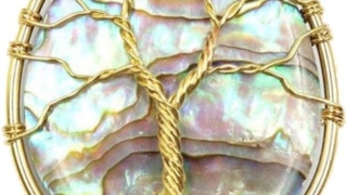 Thumbnail of post image 047