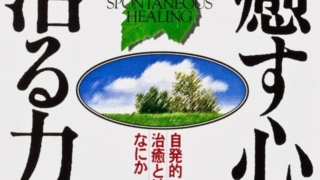 Thumbnail of post image 051